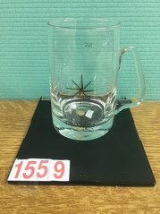 1559